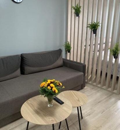 Babylon Apartments On Vidinska 41 Rivne Exterior foto